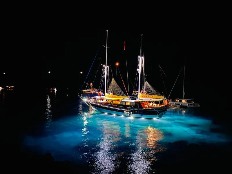 Cheers Gulet Fethiye — photo 3